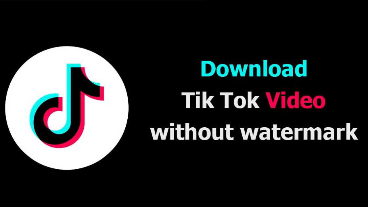 Snaptik app download video