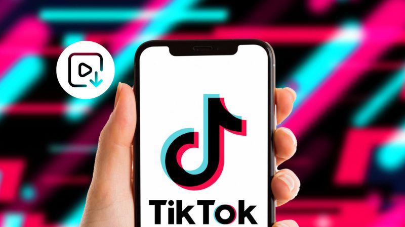 Choose Snaptik Downloader